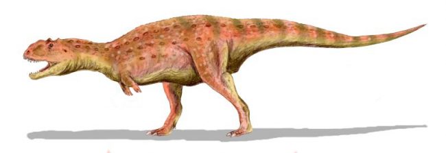 majungasaurus