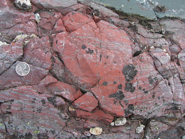 microfossils fossils quebec