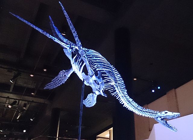 plesiosaur