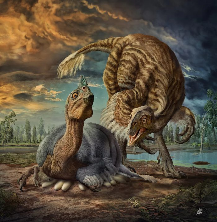 oviraptorosaur dinosaur