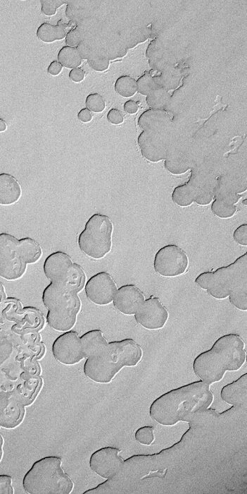 mars swiss cheese terrain