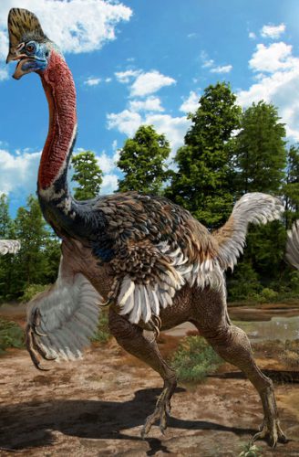 corythoraptor jacobsi