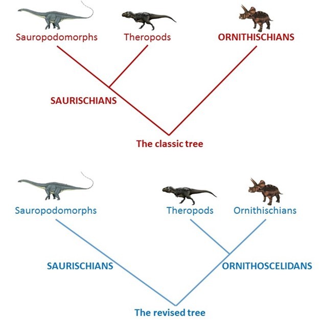 dinosaur family tree