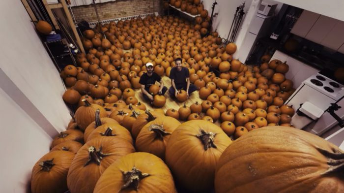 stop-motion pumpkin crew