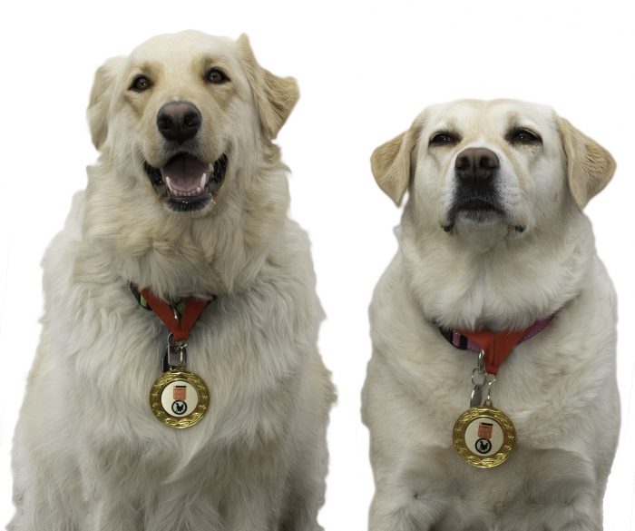 Purina Lady & Ruth - White with Medal