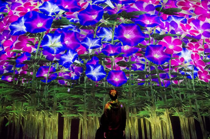 teamLab borderless world