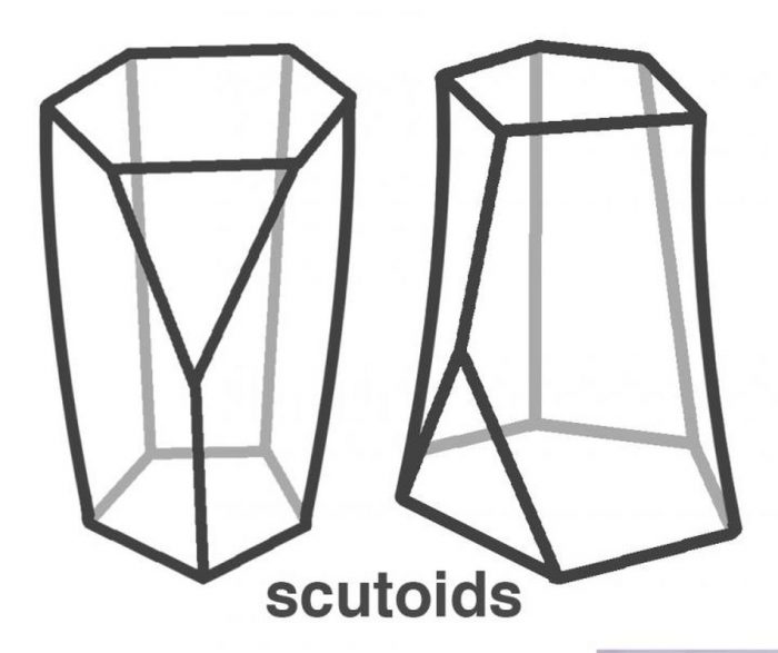 scutoid