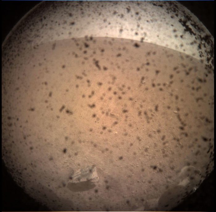 insight first pic surface