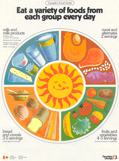 1977 food guide