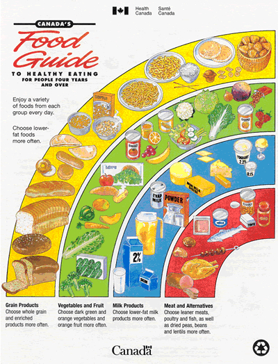 1992 food guide