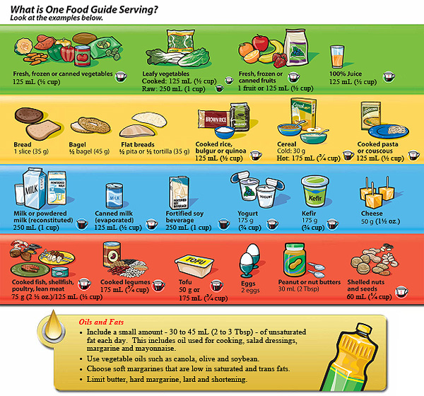 who-s-hungry-canada-s-new-food-guide-is-here-owl-connected