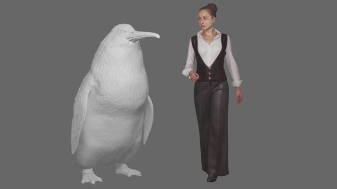 big birds penguin