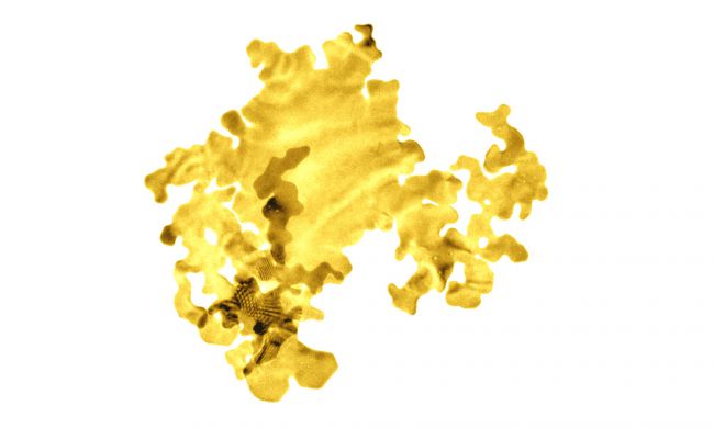 nanoseaweed gold