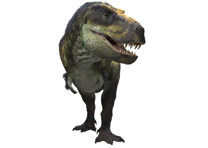 Victoria the T. rex