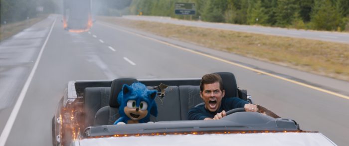 sonic the hedgehog