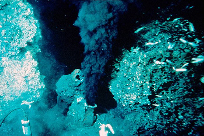 hydrothermal chimney