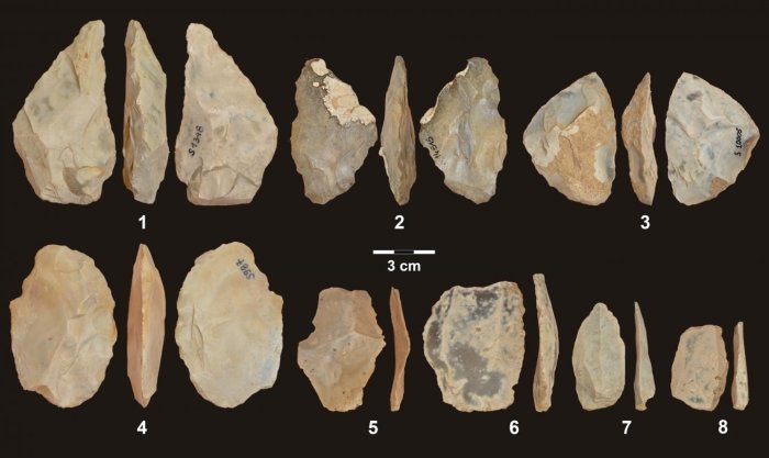 Neanderthal DNA tools