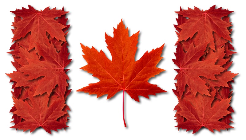Canadian flag with leaves