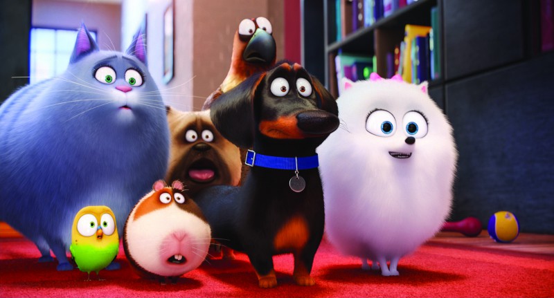 All the pets in The Secret Life of Pets