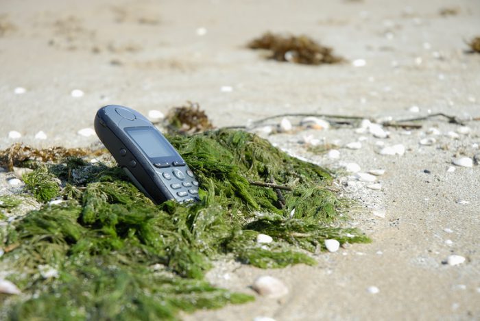 seaweed phone
