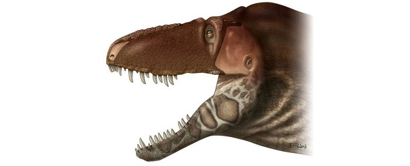 tyrannosaurs reconstruction