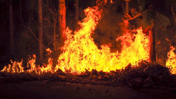 forest fires british columbia