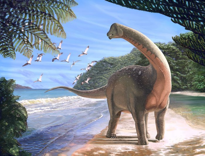 Mansourasaurus