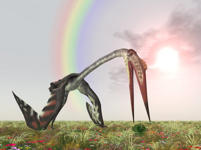 biggest pterosaur