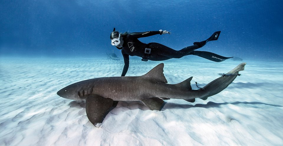 Julie and shark