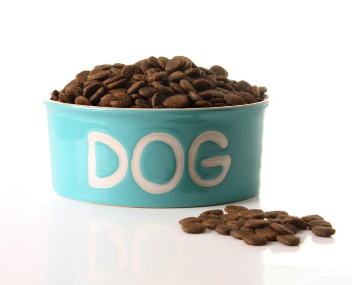 insect-based pet food