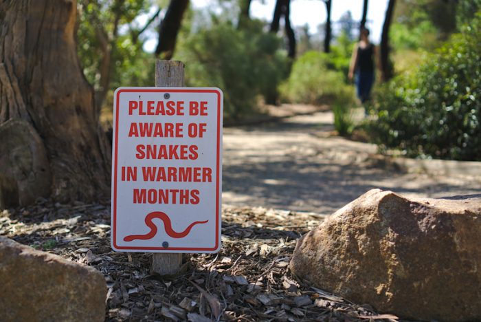 snakes sign