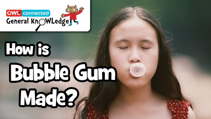 bubble gum