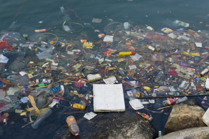 single-use plastics ban