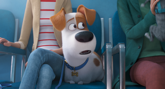 CONTEST: Win a copy of The Secret Life of Pets 2 - Owl Connected
