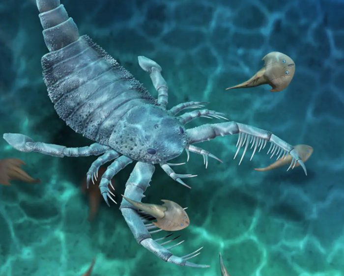 Woof! Newly discovered extinct sea scorpion was dog-sized!