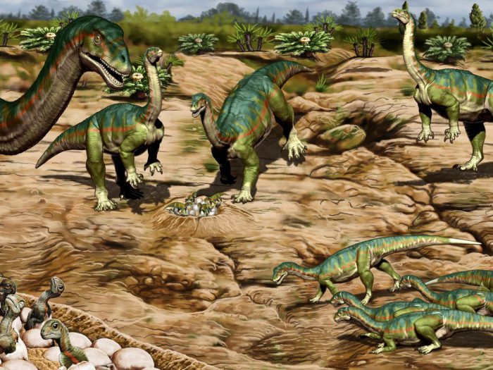 We are family! Fossils show evidence of dinosaur herds