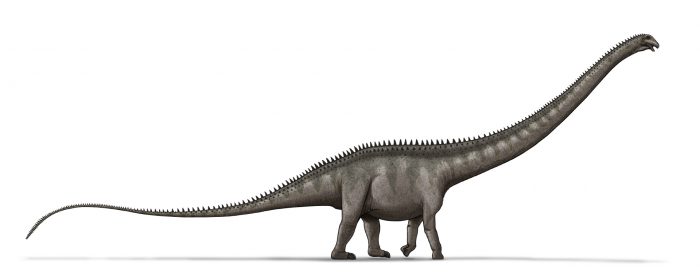 Super-size it! New study says Supersaurus was longest dino ever