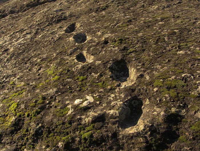 Tracks of time! Tracing the origin of ancient volcano footprints