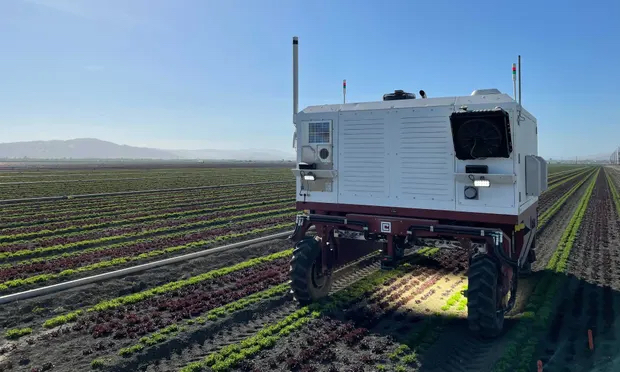 This robot is a weed killer!
