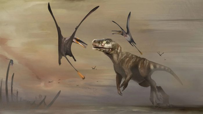 Pterrific pterosaur! Meet the largest Jurassic-era flying reptile known