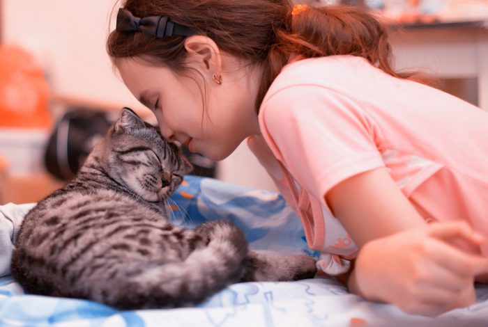 Do you know the right way to pet a cat?