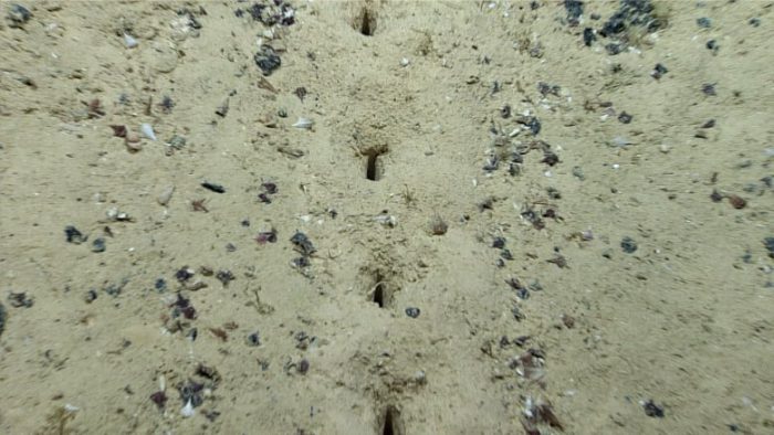 There are holes in the ocean floor and scientists are baffled