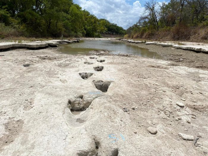 Dried-up river reveals epic dinosaur tracks