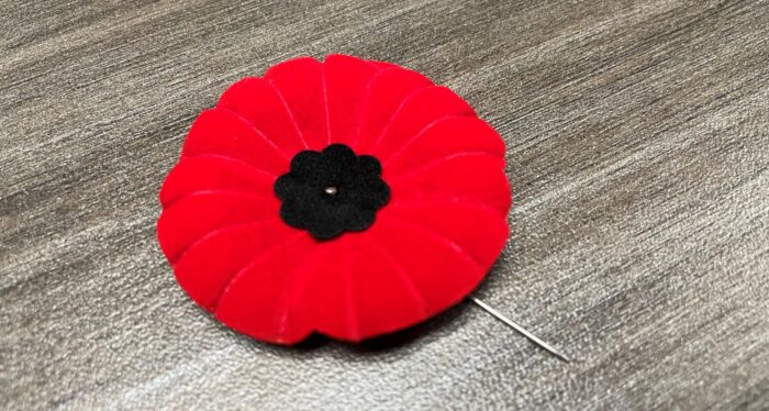 Remembrance Day poppies are now biodegradable