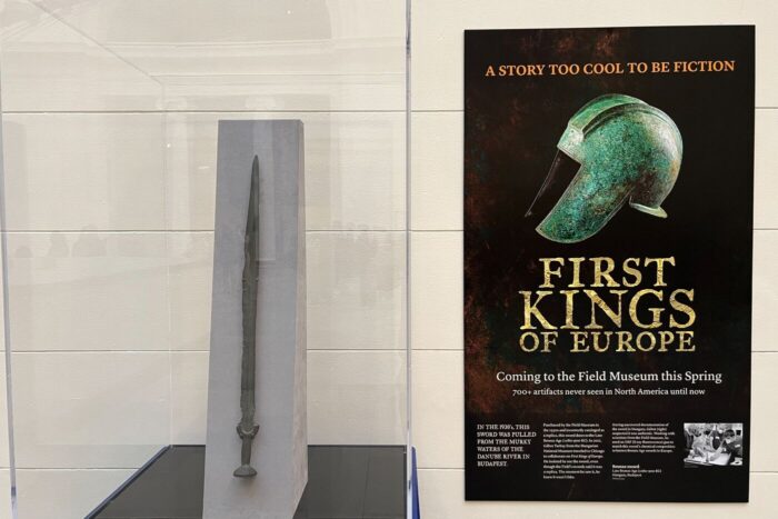 Surprise! That's a 3,000-year-old sword!