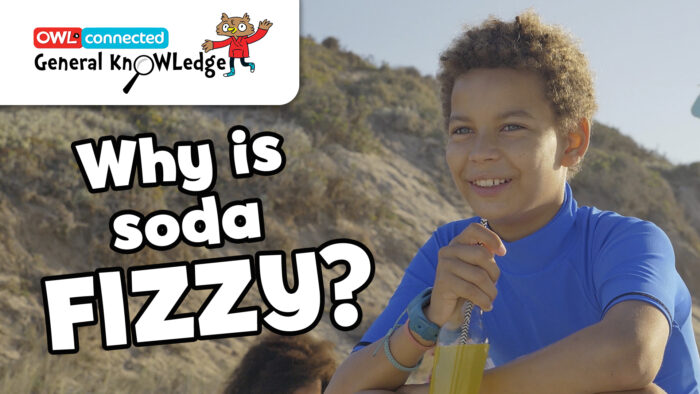 General KnOWLedge: Why is soda fizzy?