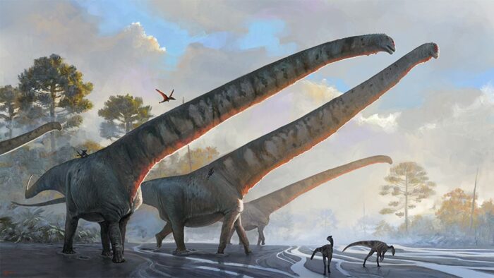 This sauropod had a record-breaking 15-metre-long neck