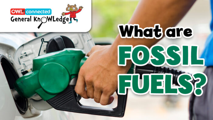 General KnOWLedge: What are fossil fuels?